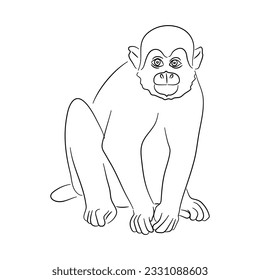 Dibujo de un mono ardilla aislado en un fondo blanco. Ilustración vectorial. 