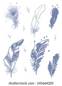 A sketch drawing of stylized feathers and stars