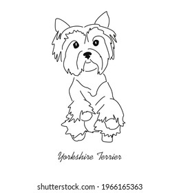 Sketch drawing of a Yorkshire terrier. Image of a small dog in a standing position on its hind legs.