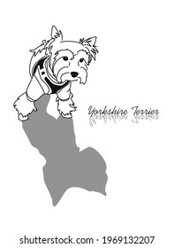 Sketch drawing of a Yorkshire terrier. Image of a small dog in a standing pose with a falling shadow.