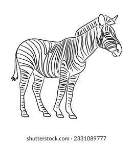 Sketch drawing of a Zebra isolated on a white background. Vector illustration. 