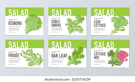 Sketch drawings of lettuce leaves, graphic elements for packaging design