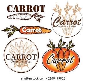 Sketch drawn vintage Carrot logo isolated on white background. Outline drawing orange carrot vegetable badge. Fresh organic label, healthy vegan food packaging. Product icon. Vector illustration.