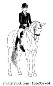 A sketch of a dressage rider on a horse executing the stop.	