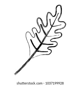 sketch of dry leaf icon over white background vector illustration
