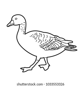 sketch duck on white background