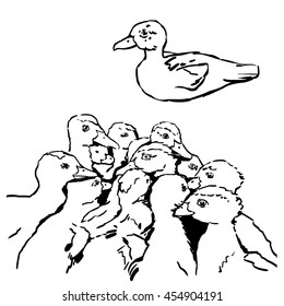 Sketch of duck. Set of a hand drawn illustration.