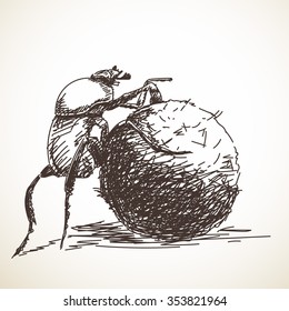 Sketch of dung beetle, Hand drawn illustration