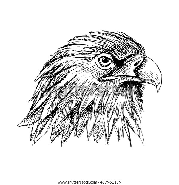 Sketch Eagle Hand Draw Illustration Stock Vector (Royalty Free) 487961179