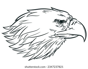 Sketch Eagle Head Side View Profile