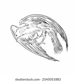 sketch of an eagle on a white background