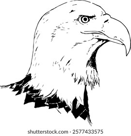 Sketch eagle vector illustration EPS10