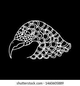 Sketch of eagle. A wild predator.  Hand drawn illustration.