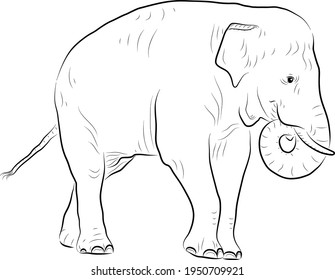 Sketch of eating elephant. Minimalistic style.
