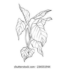 Sketch ecology vintage background. Hand drawn vector illustration