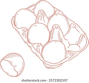 Sketch Egg Tray Handdrawn Vector Illustration