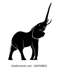 Sketch of elephant. 