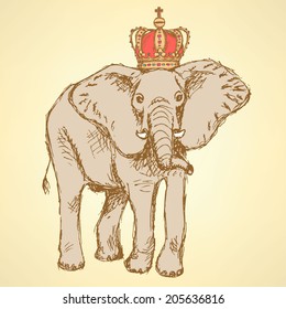 Sketch elephant in crown, vector vintage background 