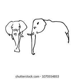 sketch elephant  from different sides