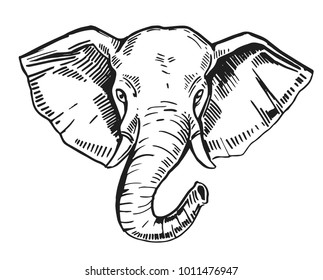 Sketch of elephant. Hand drawn illustration converted to vector