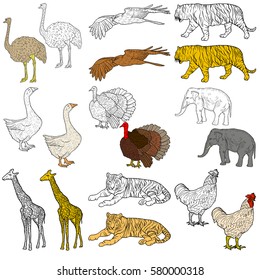 Sketch elephant tiger eagle rooster giraffe ostrich turkey goose. chicken on a white background. Vector illustration