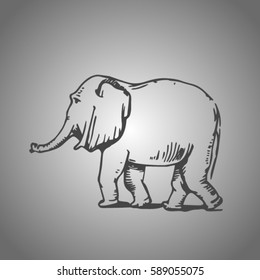 sketch of elephants. line art of elephant