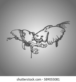 sketch of elephants. line art of elephant
