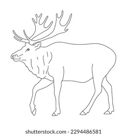 Sketch of Elk drawn by hand. Vector hand drawn illustration.