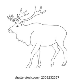 Sketch of Elk. Hand drawn vector illustration.