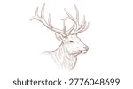 Sketch of an elk head with large antlers