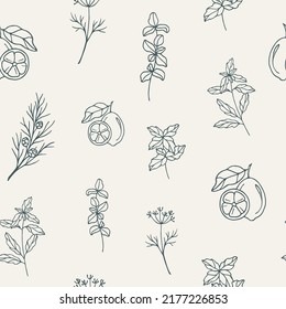 Sketch Essential Oil Plants Seamless Pattern. Cypress, Lime, Fennel, Lemon Verbena, Spearmint, Marjoram