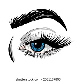 Sketch of an eye with long eyelashes on a white background. Vector illustration.