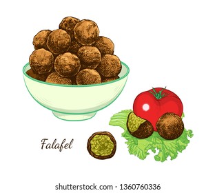 
Sketch of falafel. Falafel balls in a bowl, tomato and separate  balls on a leaf of lettuce. Vector color illustration of Middle Eastern cuisine.