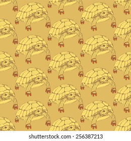 Sketch fancy turtle in vintage style, vector seamless pattern