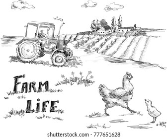 Sketch of a farm house, land, tractor, hen and chicken