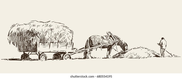 Sketch of a farmer harvests the hay 