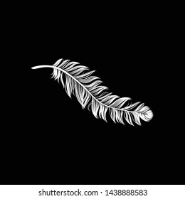 Sketch feather on black background_vector