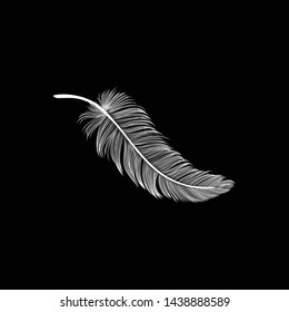 Sketch feather on black background_vector