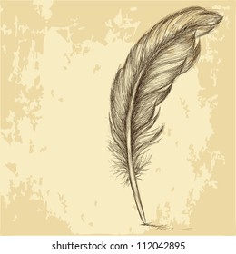 Sketch Of The Feather On Grungy Texture