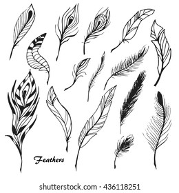 The sketch of feathers. Hand drawn vector  for design set.