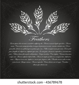 The sketch of feathers. Hand drawn vector  for design on chalk-board