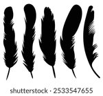 Sketch feathers of macaw, quill, eagle,crow. Hand-drawn black birds plume, close up curved feather pen silhouette. Cut out feather icon collection simple style vintage inkwell fur vector graphic image