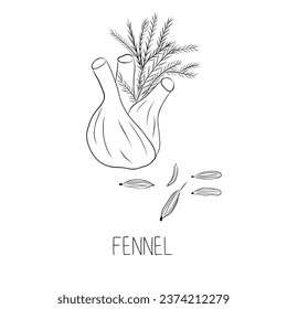 Sketch Fennel Simple Vector Illustration in Doodle Style