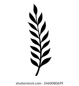 Sketch of fern leaf. Vector illustration. Black and white.