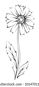 Sketch Field Flower Stock Vector (Royalty Free) 1014701143 | Shutterstock