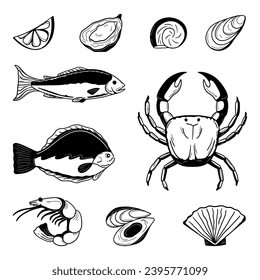 sketch fish, crab, oysters, tuna. Vector illustration