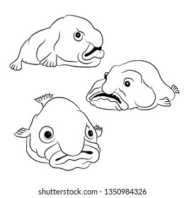 sketch fish drop in three angles