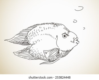 Sketch of fish, Hand drawn Vector illustration