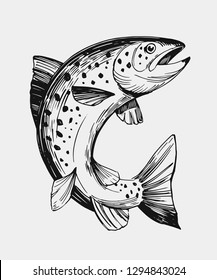 Sketch of fish. Salmon, trout. Hand drawn illustration. Vector. Isolated