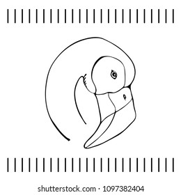 Sketch of a flamingo head. Vector hand drawn illustration.